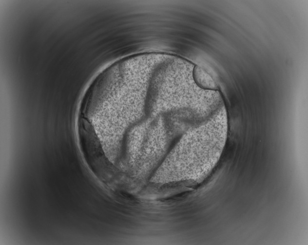 X0000094200947200711161805