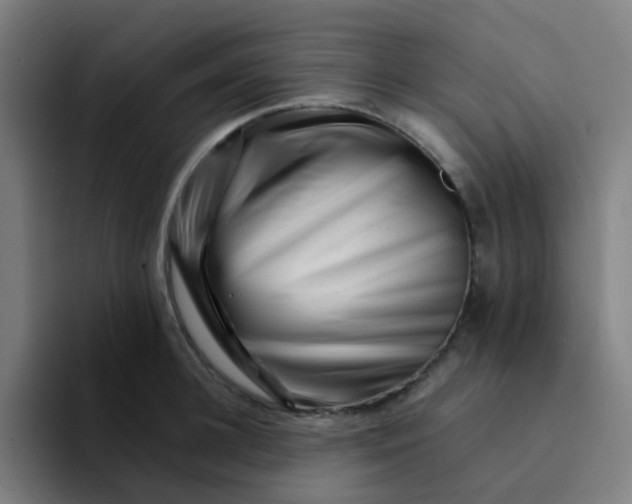 X0000094200948200711161805