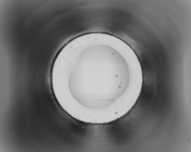 X0000094200950200711161805