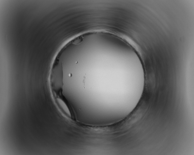 X0000094200951200711161805