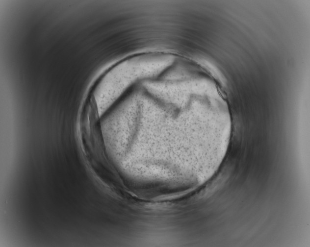 X0000094200952200711161805