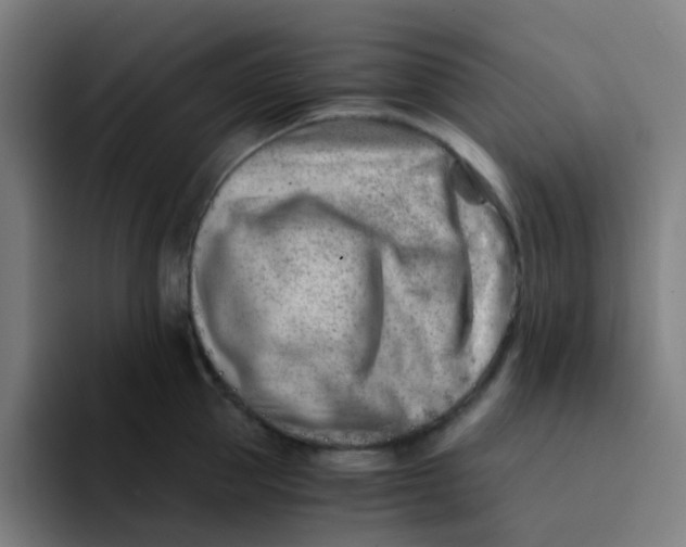 X0000094200953200711161805