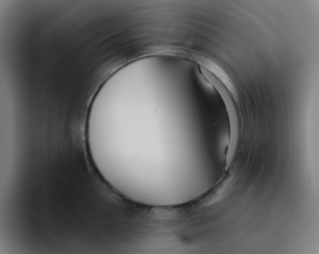 X0000094200954200711161805