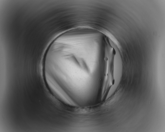 X0000094200955200711161805