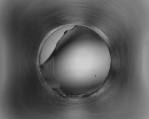 X0000094200956200711161805