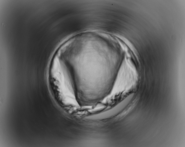 X0000094200957200711161805