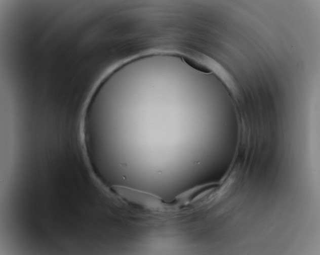 X0000094200958200711161805