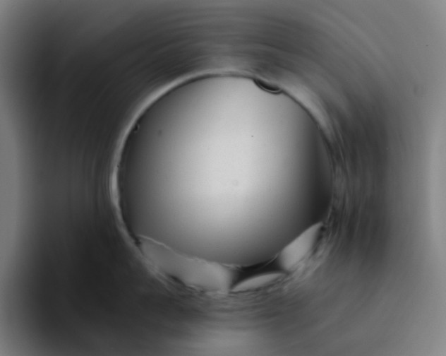 X0000094200959200711161806