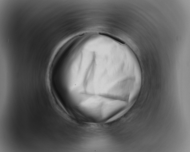 X0000094200960200711161806