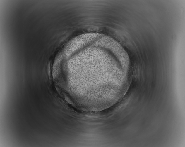 X0000094200962200711161805