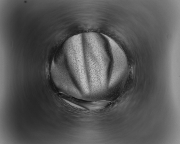 X0000094200963200711161805