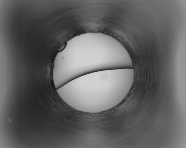 X0000094200964200711161805