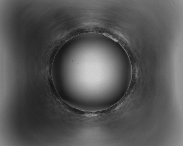 X0000094200965200711161805