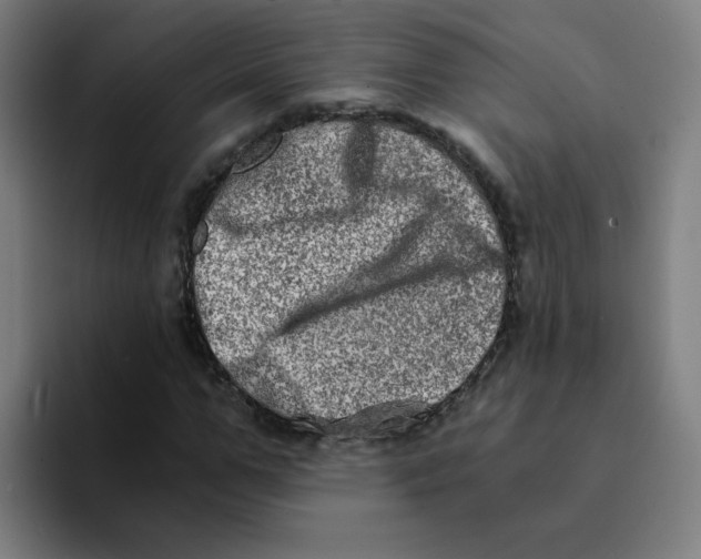 X0000094200967200711161805