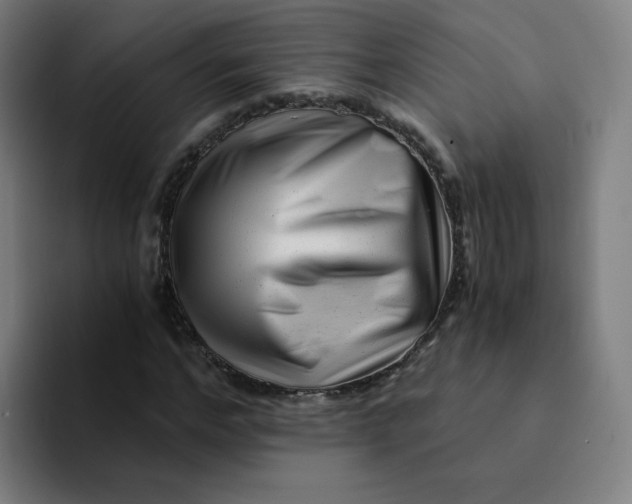 X0000094200968200711161805