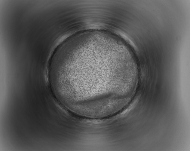 X0000094200970200711161805