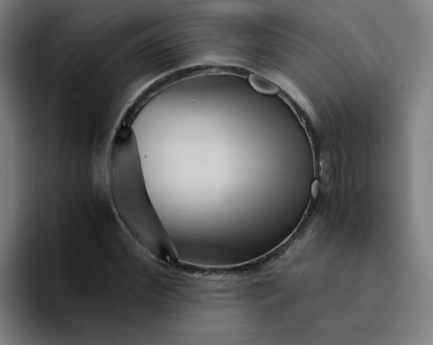 X0000094200972200711161805