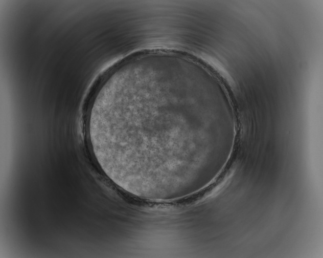 X0000094200974200711161805