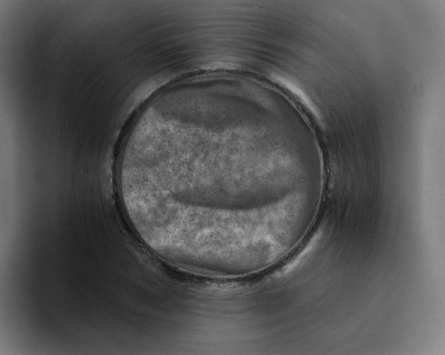 X0000094200978200711161805