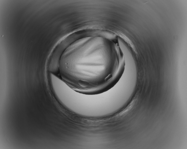 X0000094200981200711161805