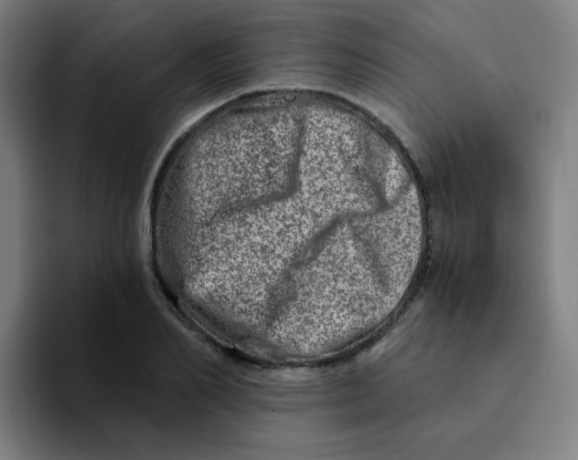 X0000094200982200711161805