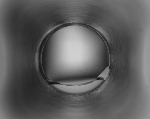 X0000094200983200711161805