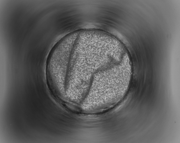 X0000094200986200711161805