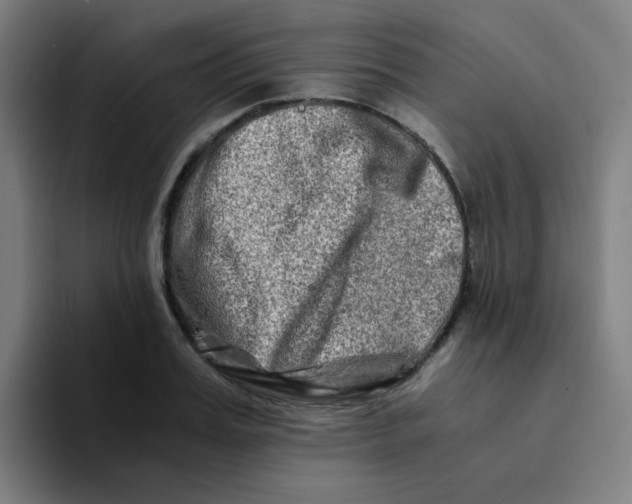 X0000094200987200711161805