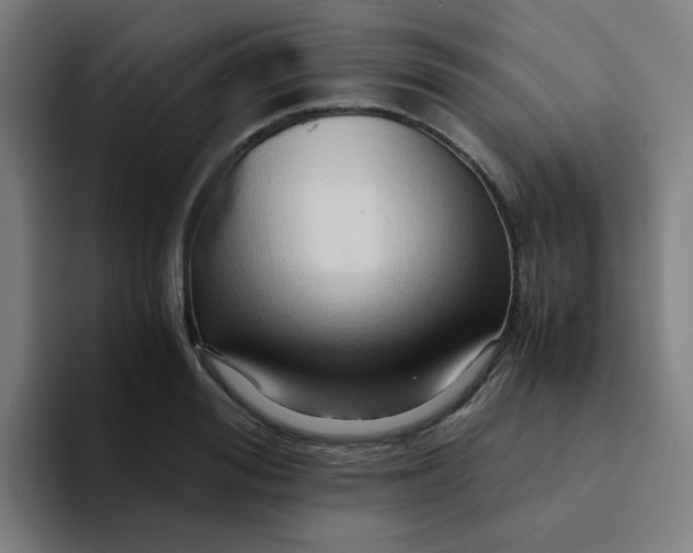 X0000094200988200711161805