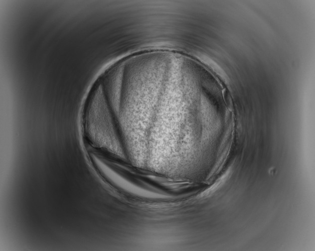 X0000094200989200711161805