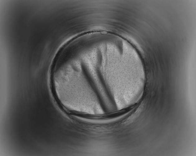 X0000094200991200711161805