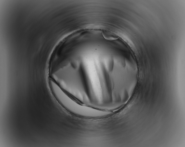 X0000094200992200711161804