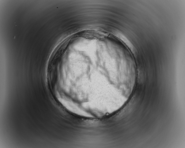 X0000094200994200711161804