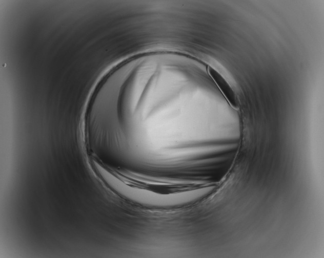 X0000094200996200711161804