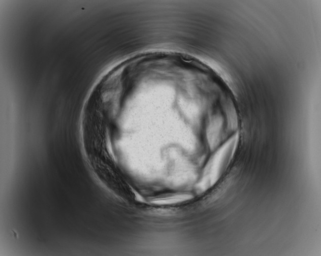 X0000094200998200711161804