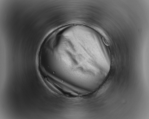 X0000094200999200711161804