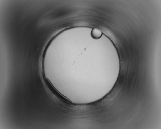 X0000094201000200711161804