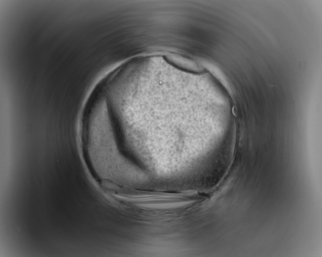 X0000094201003200711161804