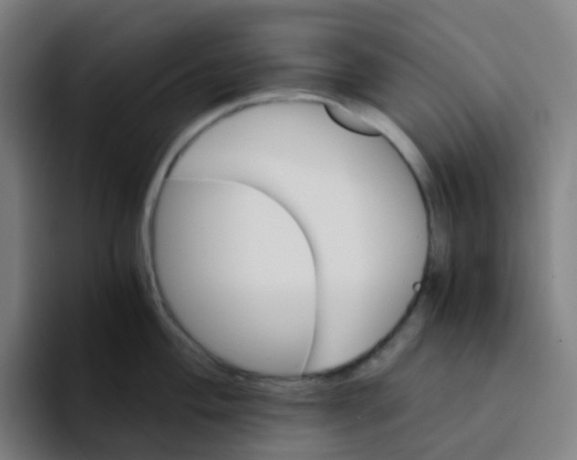 X0000094201004200711161804