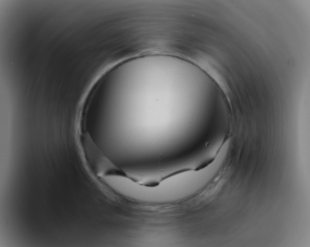 X0000094201005200711161804