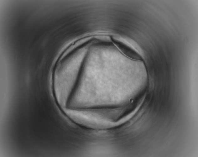 X0000094201006200711161804