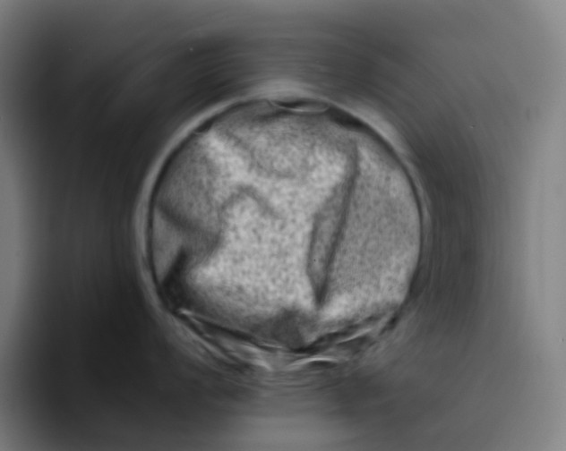 X0000094201008200711161804