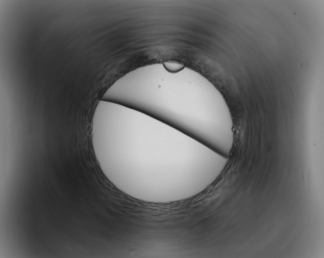 X0000094201012200711161804