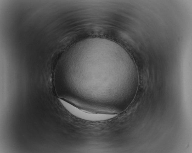 X0000094201013200711161804