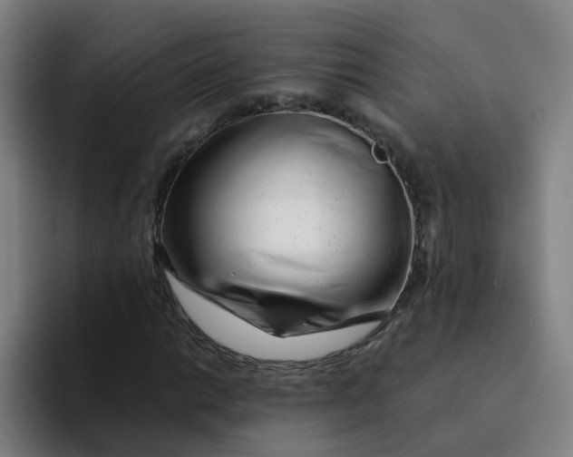 X0000094201014200711161804