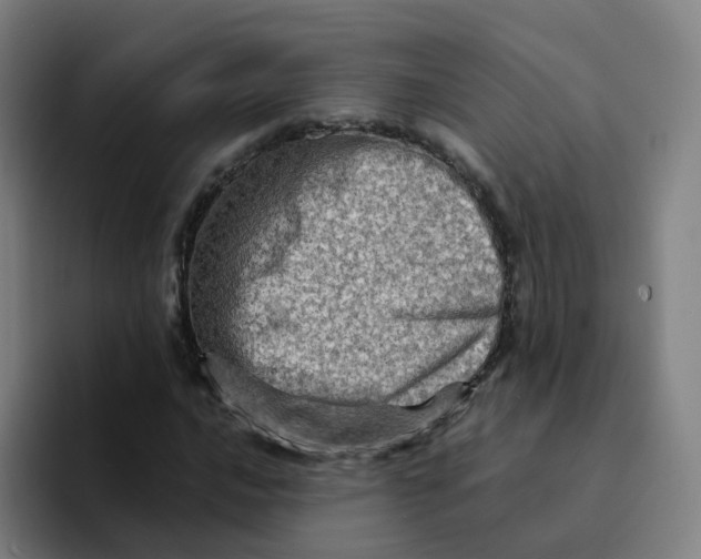 X0000094201016200711161804