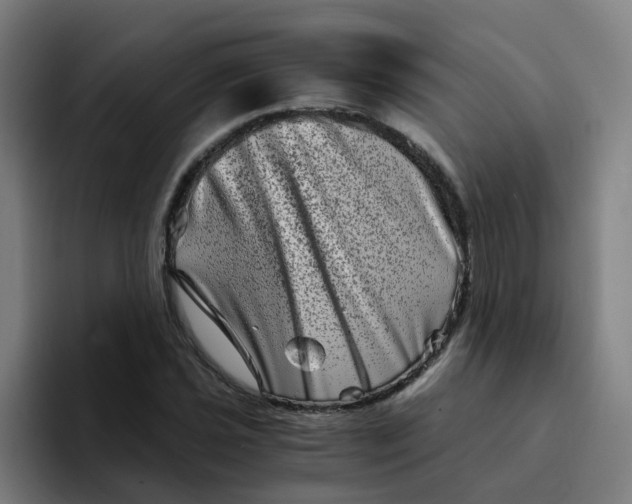 X0000094201021200711161804