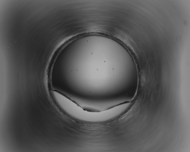 X0000094201024200711161804