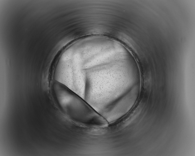 X0000094201026200711161804