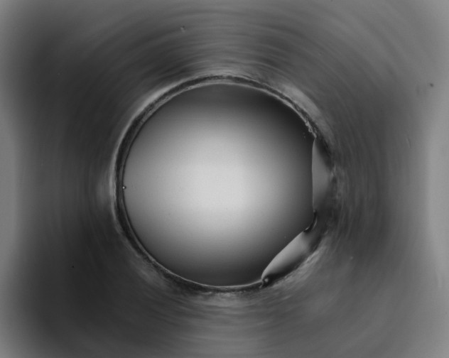 X0000094201028200711161804